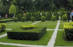 CJJ82-2012-園林綠化工程施工及驗(yàn)收規(guī)范